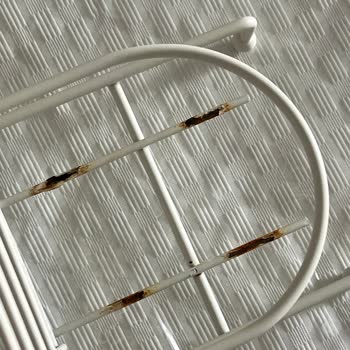 Kaplaması Çabuk Soyulan Ve Paslanan Sabunluk İçin İade Ve Değişim Talebi