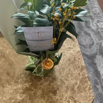 Açmamış Çiçek Gönderimi Ve İade Talebi