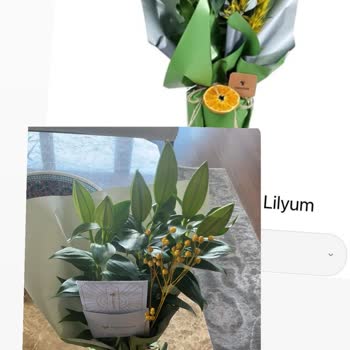 Açmamış Çiçek Gönderimi Ve İade Talebi