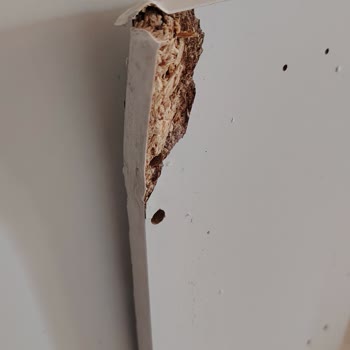 Teslimatta Kırık Dolap Parçası Ve Müşteri Hizmetine Ulaşılamıyor