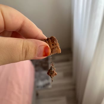 Ülker İkram Paketi Kurabiyesinde Yabancı Madde Ve Hijyen İhlali