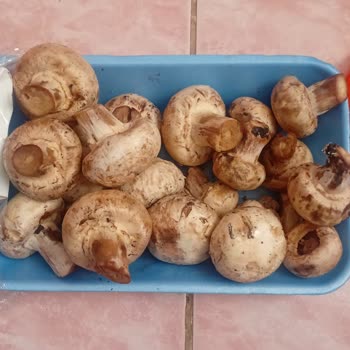 Migros Online Siparişte Çürük Havuç Ve Mantar