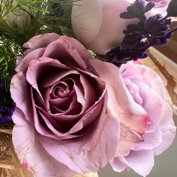 Çürük Çiçek Ve Satıcının Kaba Tavrı