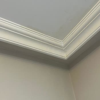 Anadolu Sigorta'da Su Sızıntısı Hasarı Yalnızca Boya Ücretiyle Karşılanıyor