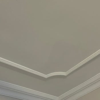 Anadolu Sigorta'da Su Sızıntısı Hasarı Yalnızca Boya Ücretiyle Karşılanıyor