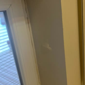 Anadolu Sigorta'da Su Sızıntısı Hasarı Yalnızca Boya Ücretiyle Karşılanıyor