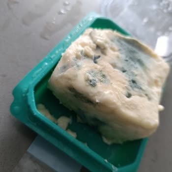 Tahsildaroğlu Ezine Beyaz Peyniri Kısa Sürede Küflendi, Müşteri Hizmetlerinden Yanıt Yok