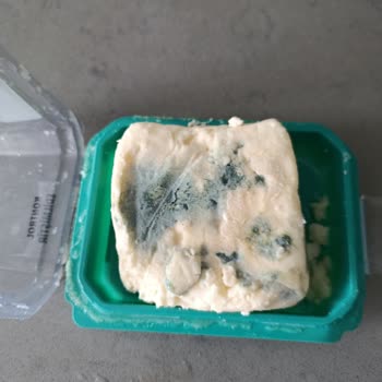 Tahsildaroğlu Ezine Beyaz Peyniri Kısa Sürede Küflendi, Müşteri Hizmetlerinden Yanıt Yok