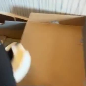 Dolap Çürümüş Ürün Satışı!
