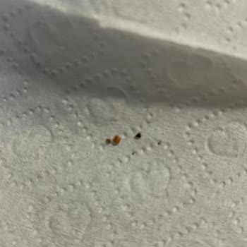 Hero Baby Pekmezli Bebek Mamasında Sert Yabancı Parçalar Bulundu, İnceleme Ve Açıklama Talebi