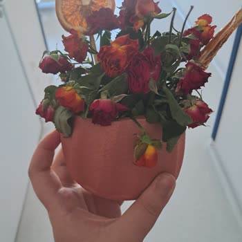 Getir Çarşı'dan Gelen Solmuş Çiçek Ve İade Sürecindeki Aksaklık