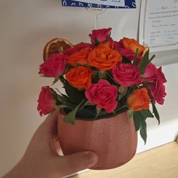 Getir Çarşı'dan Gelen Solmuş Çiçek Ve İade Sürecindeki Aksaklık