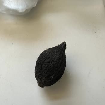 Küflü Siyah Turp Teslimatı Ve Cevapsız Canlı Destek