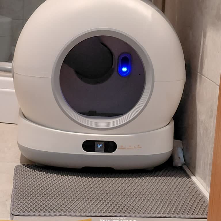 Xenon Otomatik Kedi Tuvaletinde Dayanılmaz Koku Sorunu