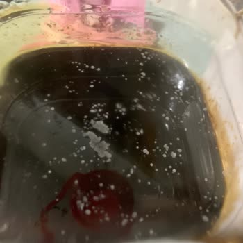 Küflü Nar Ekşisi Ürünü Müşteri Mağduriyeti Ve Kalite Kontrol Sorunu