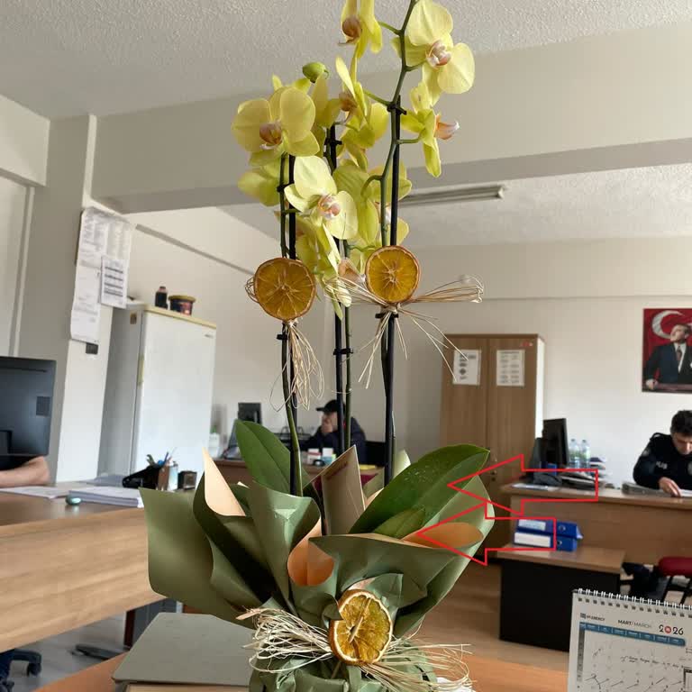 Sağlıksız Orkide Ve Görsel Uyuşmazlığı Nedeniyle Tam İade Talebi