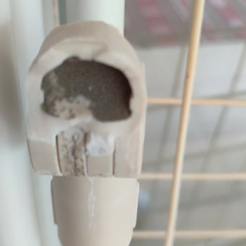 Fantom Çamaşır Kurutma Makinesi Sol Yan Bağlantı Parçası Kırıldı Ve Orijinal Yedek İstiyorum