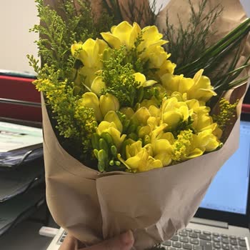 Sipariş ve Görsel Onay Sorunu