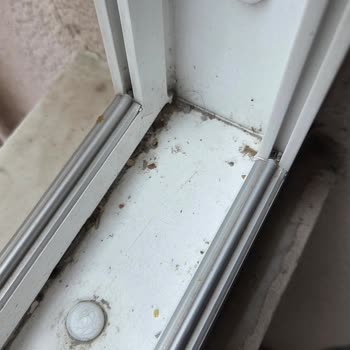 Eksik Temizlik Ve Zarar Görmüş Eşyalar İçin Telafi Talebi