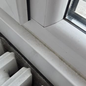 Eksik Temizlik Ve Zarar Görmüş Eşyalar İçin Telafi Talebi