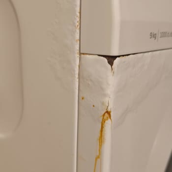 Beko Çamaşır Makinesinde Erken Gövde Paslanması Garanti Reddi