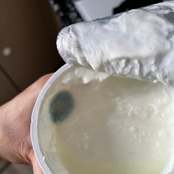 Son Tarihine Uymayan Küflü Quark Ürününün İade Talebi