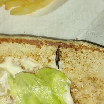 Böcekli Popeyes Menüsü İçin Tam İade Ve Ciddi Uyarı Talebi