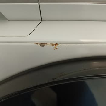 Samsung Çamaşır Makinesinde Yıkama Sorunu, Küflenme Ve Garanti Reddi