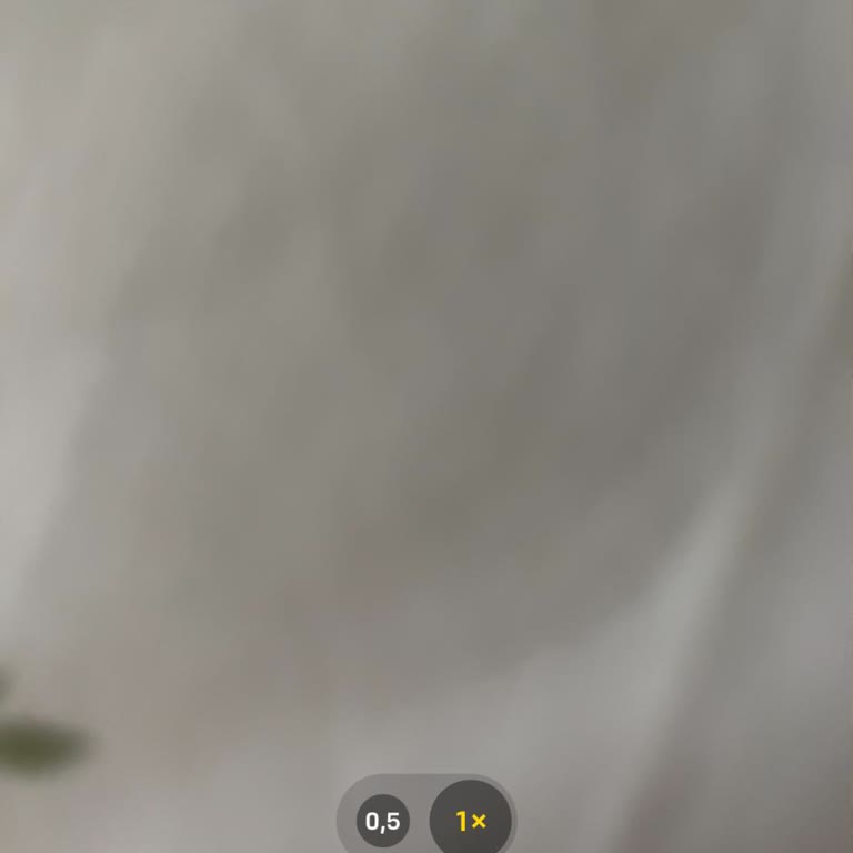 Türk Telekom 5G Hattımda Sürekli Çekim Ve İnternet Bağlantı Sorunu