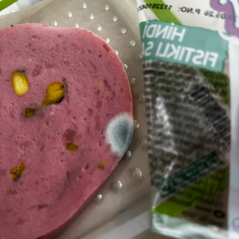 Küflenmiş Fıstıklı Hindi Salamı Gıda Güvenliği Sorunu