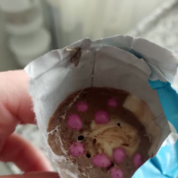 Ozmo Cornet Çilekli Üründe Böceklenme Ve Hijyen Endişesi