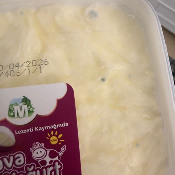 Migros Esentepe Şubesinden Aldığım Yoğurt Açılmadan Küflendi