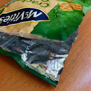 Kraker Paketi İçinde Salyangoz Görerek Gıda Güvenliğine Endişe