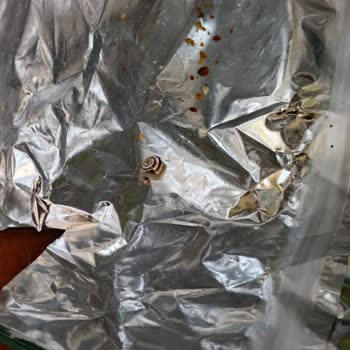 Kraker Paketi İçinde Salyangoz Görerek Gıda Güvenliğine Endişe