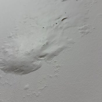 İş Yerimde Dış Cephe Sızması Nedeniyle Hasar Sigorta Kapsamı Dışında Bırakıldı