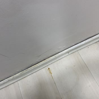 İş Yerimde Dış Cephe Sızması Nedeniyle Hasar Sigorta Kapsamı Dışında Bırakıldı