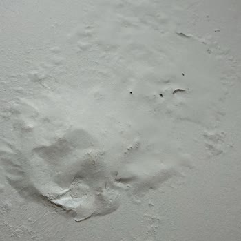 İş Yerimde Dış Cephe Sızması Nedeniyle Hasar Sigorta Kapsamı Dışında Bırakıldı