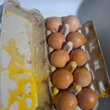 Kırık Yumurta Teslimatı İçin İade Talebi