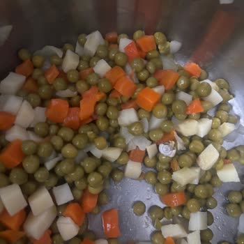 Garnitür İçinde Salyangoz: Gıda Güvenliği İhlali Ve Web Şikayet Sistemi Hatası