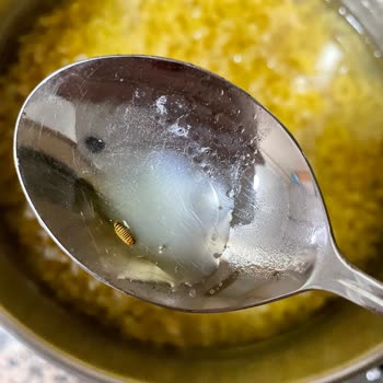 Dirsek Makarna’da Kurtlar Ve Hijyen Sorunu