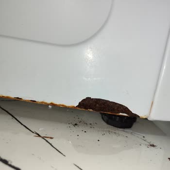 Yan Paneldeki Paslanma Garantiden Dışarı Bırakıldı Ve 8200 TL Ücret Talep Edildi