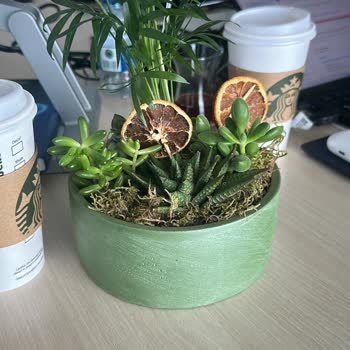 Ürün Açıklamasıyla Uyuşmayan Eksik Saksı İçeriği Ve İade Sorunu