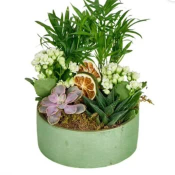 Ürün Açıklamasıyla Uyuşmayan Eksik Saksı İçeriği Ve İade Sorunu