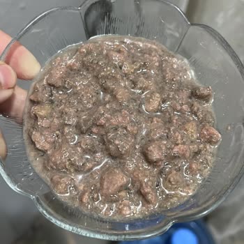 Onur Market'ten Bozuk Kedi Maması Ve İade Talebi