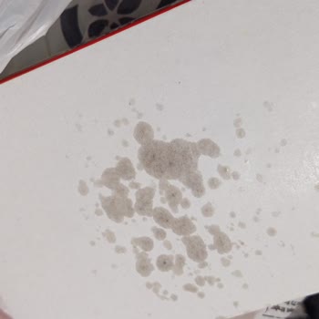 Nemli Ve Küflü Şeker, Saygısız Personel Tutumu