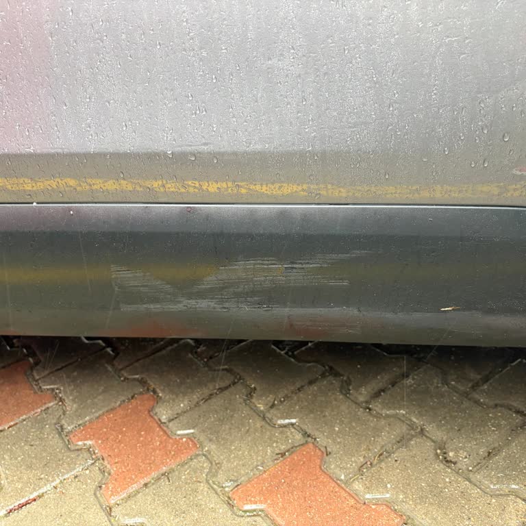 Citroen Servisinde Kapı Sürtme İzi Ve Kamera Kablosu Sorunu