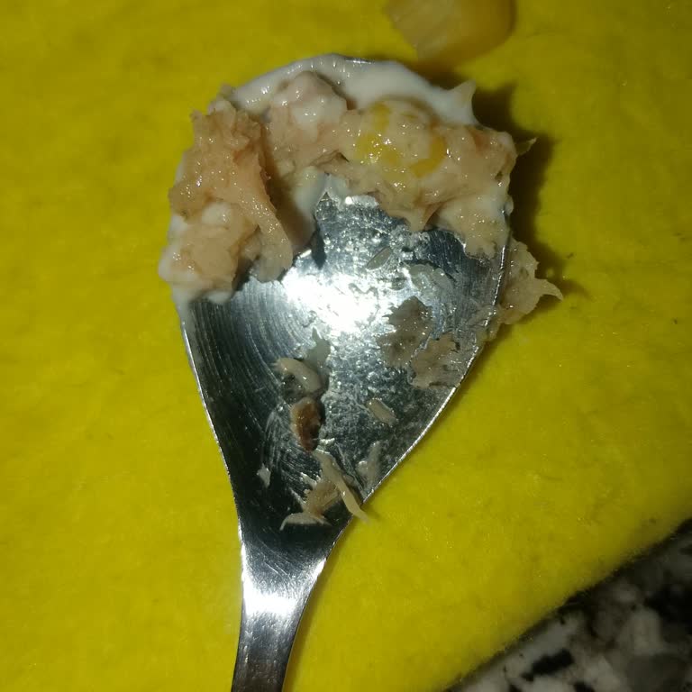 Dardanel Ton Balığında Kötü Koku Ve Siyah Parçacıklar