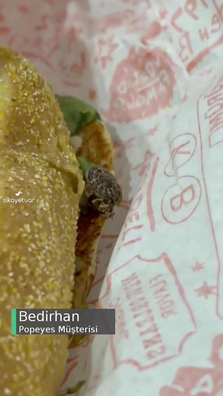 Popeyes Hamburgerimin İçinden Salyangoz Çıktı! videonun kapak resmi