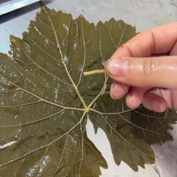 Reklamda Gösterilen İncecik Yapraklar İle Gerçek Ürün Arasındaki Tutarsızlık