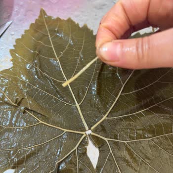 Reklamda Gösterilen İncecik Yapraklar İle Gerçek Ürün Arasındaki Tutarsızlık